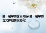 诺一名字的含义介绍(诺一名字的含义详细情况如何)