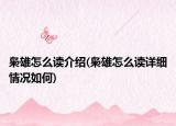 枭雄怎么读介绍(枭雄怎么读详细情况如何)