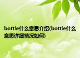 bottle什么意思介绍(bottle什么意思详细情况如何)