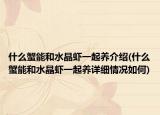 什么蟹能和水晶虾一起养介绍(什么蟹能和水晶虾一起养详细情况如何)