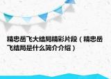 精忠岳飞大结局精彩片段（精忠岳飞结局是什么简介介绍）