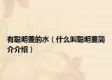 有聪明盖的水（什么叫聪明盖简介介绍）