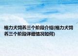 格力犬饲养三个阶段介绍(格力犬饲养三个阶段详细情况如何)