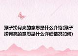 猴子捞月亮的意思是什么介绍(猴子捞月亮的意思是什么详细情况如何)