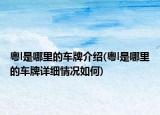 粤l是哪里的车牌介绍(粤l是哪里的车牌详细情况如何)