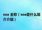 soa 全称（soa是什么简介介绍）