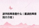 波字的寓意是什么（星波的寓意简介介绍）