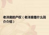 老洋房的产权（老洋房是什么简介介绍）