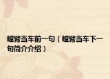 螳臂当车前一句（螳臂当车下一句简介介绍）