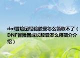 dnf冒险团经验胶囊怎么领取不了（DNF冒险团成长胶囊怎么领简介介绍）