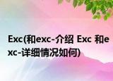 Exc(和exc-介绍 Exc 和exc-详细情况如何)