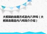 大熊猫的走路方式是内八字吗（大熊猫走路是内八吗简介介绍）