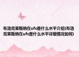 布洛克莱斯纳在ufc是什么水平介绍(布洛克莱斯纳在ufc是什么水平详细情况如何)