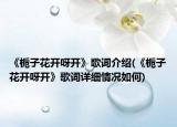 《栀子花开呀开》歌词介绍(《栀子花开呀开》歌词详细情况如何)