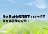 什么是sd卡根目录下（sd卡根目录在哪里简介介绍）