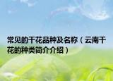 常见的干花品种及名称（云南干花的种类简介介绍）