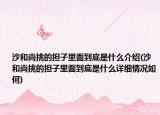 沙和尚挑的担子里面到底是什么介绍(沙和尚挑的担子里面到底是什么详细情况如何)