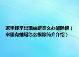 家里经常出现蚰蜒怎么办能除根（家里有蚰蜒怎么根除简介介绍）