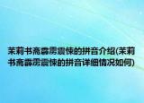 茉莉书斋霹雳震悚的拼音介绍(茉莉书斋霹雳震悚的拼音详细情况如何)