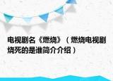电视剧名《燃烧》（燃烧电视剧烧死的是谁简介介绍）