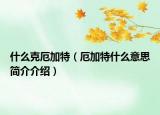什么克厄加特（厄加特什么意思简介介绍）