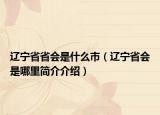 辽宁省省会是什么市（辽宁省会是哪里简介介绍）
