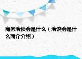 商务洽谈会是什么（洽谈会是什么简介介绍）