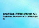 山西青春蜜语文化传媒有限公司怎么样介绍(山西青春蜜语文化传媒有限公司怎么样详细情况如何)