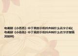 电视剧《小爸爸》中于果的手机铃声叫什么名字介绍(电视剧《小爸爸》中于果的手机铃声叫什么名字详细情况如何)