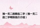 独一无二的网名二字（独一无二的二字昵称简介介绍）