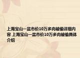 上海宝山一盆市价10万多肉被偷详细内容 上海宝山一盆市价10万多肉被偷具体介绍