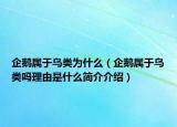 企鹅属于鸟类为什么（企鹅属于鸟类吗理由是什么简介介绍）