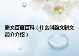 骈文百度百科（什么叫韵文骈文简介介绍）