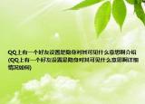 QQ上有一个好友设置是隐身对其可见什么意思啊介绍(QQ上有一个好友设置是隐身对其可见什么意思啊详细情况如何)