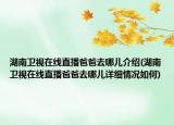 湖南卫视在线直播爸爸去哪儿介绍(湖南卫视在线直播爸爸去哪儿详细情况如何)
