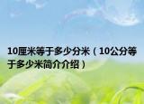 10厘米等于多少分米（10公分等于多少米简介介绍）