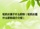 轮机长属于什么职称（轮机长是什么职称简介介绍）