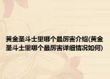 黄金圣斗士里哪个最厉害介绍(黄金圣斗士里哪个最厉害详细情况如何)