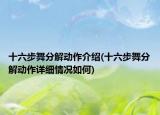 十六步舞分解动作介绍(十六步舞分解动作详细情况如何)