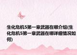 生化危机5第一章武器在哪介绍(生化危机5第一章武器在哪详细情况如何)