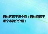 西林区属于哪个县（西林县属于哪个市简介介绍）