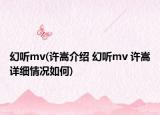 幻听mv(许嵩介绍 幻听mv 许嵩详细情况如何)