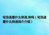 宅急送是什么快递,快吗（宅急送是什么快递简介介绍）