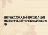 超级玛丽完美双人版小游戏攻略介绍(超级玛丽完美双人版小游戏攻略详细情况如何)
