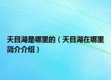 天目湖是哪里的（天目湖在哪里简介介绍）