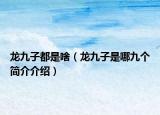 龙九子都是啥（龙九子是哪九个简介介绍）
