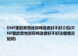 DNF里的宠物迷你缔造者好不好介绍(DNF里的宠物迷你缔造者好不好详细情况如何)