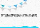 我要的李小龙与李国豪的照片是在《李小龙映画》中有的?介绍(我要的李小龙与李国豪的照片是在《李小龙映画》中有的?详细情况如何)