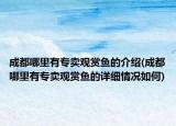 成都哪里有专卖观赏鱼的介绍(成都哪里有专卖观赏鱼的详细情况如何)