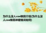 为什么没人cos雏田介绍(为什么没人cos雏田详细情况如何)